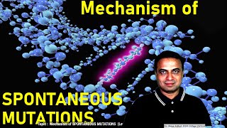 03 Molecular Mechanisms of SPONTANEOUS MUTATIONS [upl. by Ellimac]