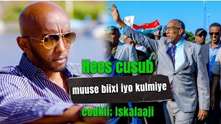 ISKALAAJI HEES CUSUB  MUUSE BIXII IYO KULMIYE  new Song 2024 💚💛 [upl. by Tterag]