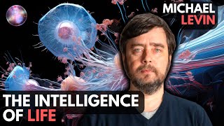 The intelligence of life with Michael Levin  Living Mirrors 124 [upl. by Garnette883]