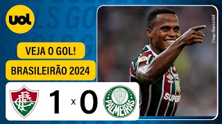 FLUMINENSE 1 X 0 PALMEIRAS  CAMPEONATO BRASILEIRO 2024 VEJA O GOL [upl. by Gabbert357]