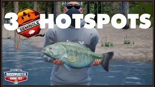 Lake Seminole Hotspots  Bassmaster Fishing 2022 tournament tactics [upl. by Nosro]