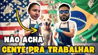 Quanto ganha um tosador de cachorros nos Estados Unidos Profissões para trabalhar nos EUA [upl. by Aneehs230]