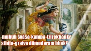 Damodarastakam English Lyrics [upl. by Ecirahc]