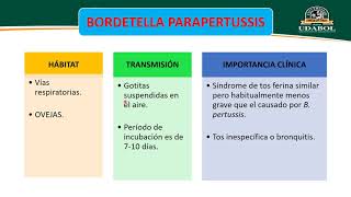 HAEMOPHILUS BORDETELLA [upl. by Nnave]