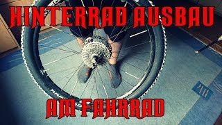 Hinterrad mit Kettenschaltung ausbauen  Fahrrad Hinterrad AUSBAU  Schnell und Einfach [upl. by Alston77]