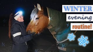 My Real Winter Evening Routine With Horses At Home [upl. by Hpesojnhoj]