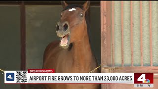 Airport Fire evacuees get help in sheltering their horses [upl. by Tait]