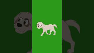 White Dog Walking Green Screen Video 🐶 Dog Walking Green Screen Video animation [upl. by Ayotna]