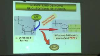 UNIDAD 5METABOLISMO DE LOS NUCLEOTIDOS parte 1 [upl. by Hedwig]