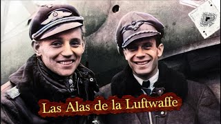 Los 5 Pilotos Más Letales de la Luftwaffe Los Mayores Ases de la Historia [upl. by Marcille]