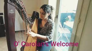 O Carolans Welcome [upl. by Garnes]