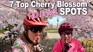 TOP 7 Hidden Washington DC Cherry Blossom Spots You Cant Miss [upl. by Alejandro]