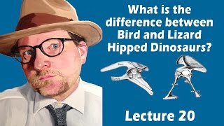 What is the difference between bird and lizard hipped dinosaurs [upl. by Gelb]