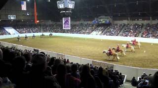 Equine Affaire Saturday Haflinger Drill Team [upl. by Nicolau]