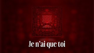 Dadju amp Tayc  Je nai que toi Lyrics video [upl. by Seroled395]