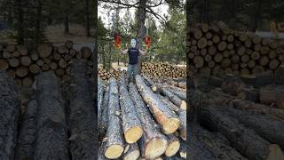 2 stroke firewood horrors colorado nature moto husqvarna fitness wod jason [upl. by Cyb]