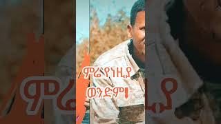 Hot Amharic Music [upl. by Martinic458]