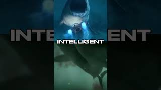 The Meg VS Two Headed Shark [upl. by Areek]