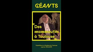 GÉANTS  DES MAMMOUTHS À TOULOUSE [upl. by Natale]