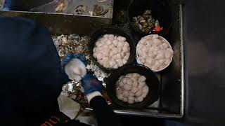 Atlantic Sea Scallop Fishery [upl. by Sal]