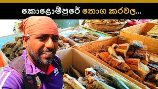 රටවටේ යන තොගකරවල  Dry fish Importers  Exporters  Wholesalers  කරවල තොග මිල 🇱🇰💰🦈 [upl. by Aridaj]