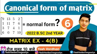 6  NORMAL amp CANONICAL FORM OF MATRIX  Maths BSc 2nd year in hindi Lec  5 by  yash vardhan [upl. by Meekyh]