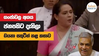 Diana Gamage Full Speech  Parliament  20221119 [upl. by Laflam]