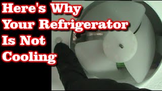 Refrigerator Not Cooling But Freezer Is Fine [upl. by Heshum]