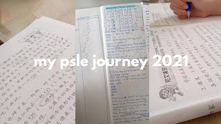 my PSLE journey 2021  study and grind [upl. by Prowel]