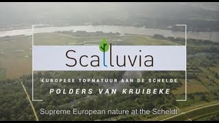 Scalluvia natuurdocumentaire [upl. by Uund]