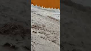 Inondations in Mesra Mostaganem Algérie 10112024 schorts [upl. by Atiuqer]