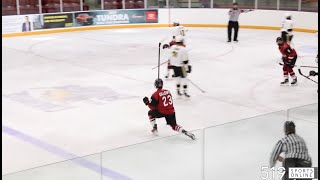 Under 16 Hockey  Lambton Jr Sting vs Cambridge Jr RedHawks [upl. by Seaver]