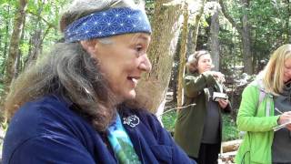 Talking with Trees  Hawthorne Herbal Remedy for Heart Health [upl. by Machos]