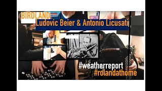 Birdland  Weather Report by Ludovic Beier amp Antonio Licusati  Official [upl. by Ahsytal]