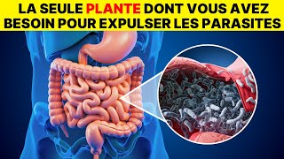 Seulement 2 cuillères Expulsent tous les vers et parasites de votre corps [upl. by Del]