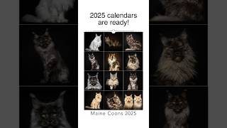 2025 calendars are ready [upl. by Rudd]