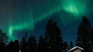 Magical Northern Lights in Finland  Aurora Borealis in 4K [upl. by Giffard43]