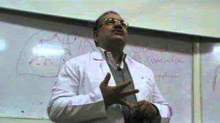 Dr Ehab Abdel Aziz Neuro II 1 Part 1 quot white matter of cerebral hemisphere [upl. by Chesna533]