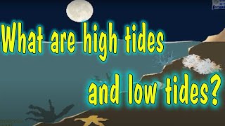 HIGH AND LOW TIDES AS AND WHY ANIMATION WELL EXPLAINED [upl. by Adiuqram]