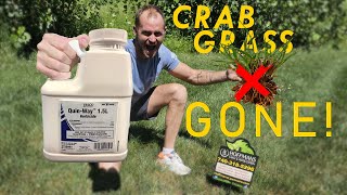 Effective Crabgrass Control Using Quin Way PostEmergent Herbicide [upl. by Gilligan]