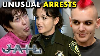 Unusual Arrests Unfold in Las Vegas  JAIL TV Show [upl. by Ahsienet]