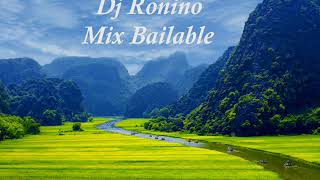 Dj Ronino  Mix bailable Selva Costa y Sierra [upl. by Meldon]