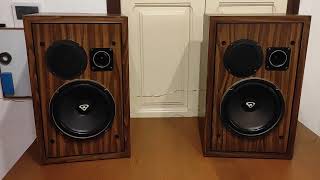 Cerwin vega speakers A103 [upl. by Kessel582]