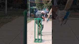 Beautiful Cover and Straight Drive icccricket 🏏 subscribe shorts youtube shortsviral foryou [upl. by Azilem]