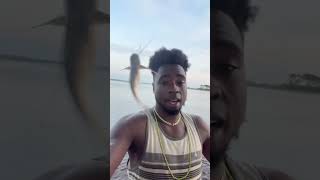 THIS CATFISH IS PREGNANT music music hiphop rapper artist fish americanpresident video bank [upl. by Etteuqram]