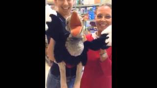 Folkmanis Ostrich Puppet [upl. by Jeanelle]