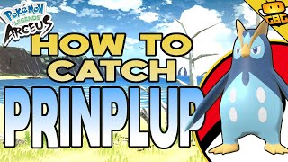 How to Get Prinplup in Pokémon Legends Arceus Prinplup Location [upl. by Eneluqcaj]