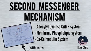 Receptors and Second Messenger system Gprotein Enzyme linked and Ligand gated ion channels [upl. by Montanez75]