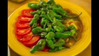 Best of Summer Perfectly Sautéed Shishito or Padron Peppers [upl. by Gylys]