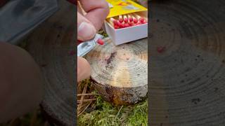 Easily ignitable matches 🔥 asmr bushcraft experiment survival camping outdoors fire [upl. by Spanjian832]